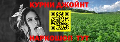 альфа пвп Новодвинск