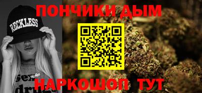 альфа пвп Новодвинск