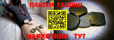 альфа пвп Новодвинск