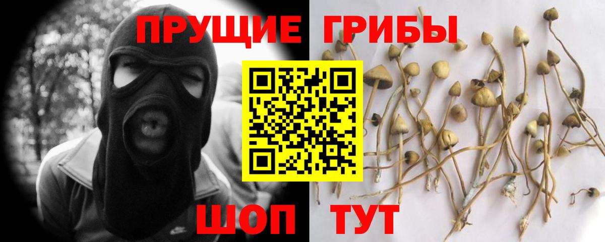 Скопин  Псилоцибиновые грибы ЛСД  Вход с VPN 